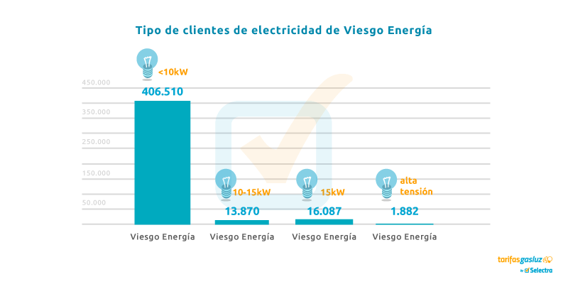 Gráfico tipo de clientes Viesgo Energía Gráfico del tipo de clientes de luz de Viesgo Energía
