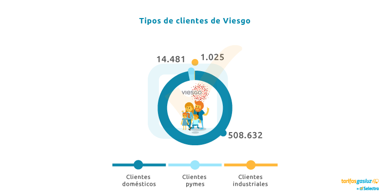 Gráfico tipo de clientes de Viesgo Distribución Gráfico sobre el tipo de clientes de Viesgo Distribución