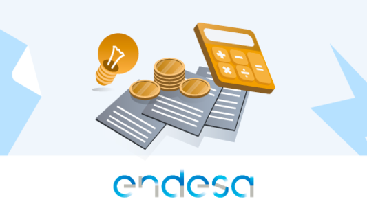 Bono Social Endesa o Energía XXI