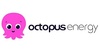 octopus energy placas solares